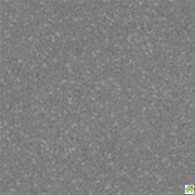 linoleum-kommercheskii6.jpg